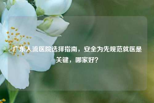 广东人流医院选择指南,安全为先规范就医是关键,哪家好?