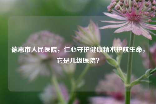 德惠市人民医院，仁心守护健康精术护航生命，它是几级医院？