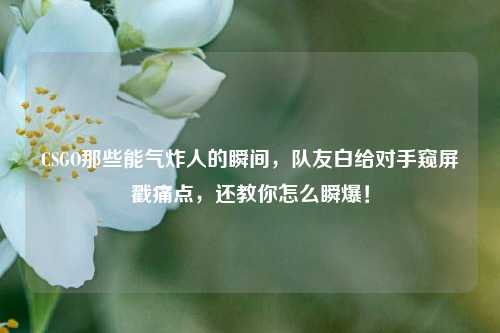 CSGO那些能气炸人的瞬间，队友白给对手窥屏戳痛点，还教你怎么瞬爆！
