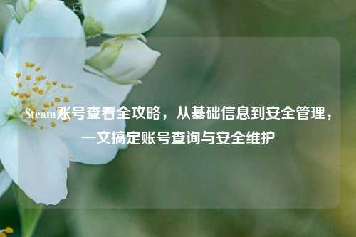 Steam账号查看全攻略，从基础信息到安全管理，一文搞定账号查询与安全维护