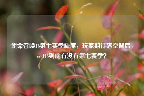 使命召唤16第七赛季缺席，玩家期待落空背后，cod16到底有没有第七赛季？