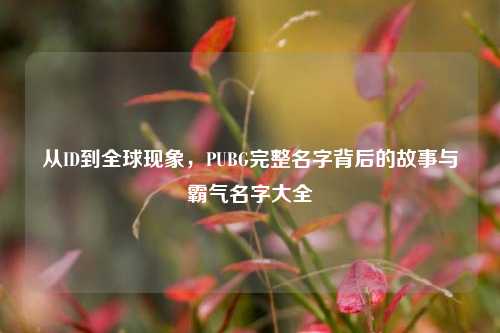 从ID到全球现象，PUBG完整名字背后的故事与霸气名字大全