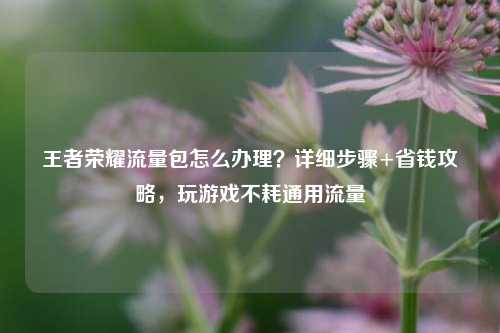王者荣耀流量包怎么办理？详细步骤+省钱攻略，玩游戏不耗通用流量