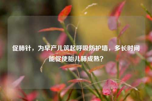 促肺针，为早产儿筑起呼吸防护墙，多长时间能促使胎儿肺成熟？