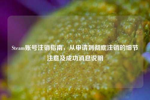 Steam账号注销指南,从申请到彻底注销的细节注意及成功消息说明