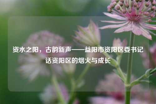 资水之阳，古韵新声——益阳市资阳区委书记话资阳区的烟火与成长