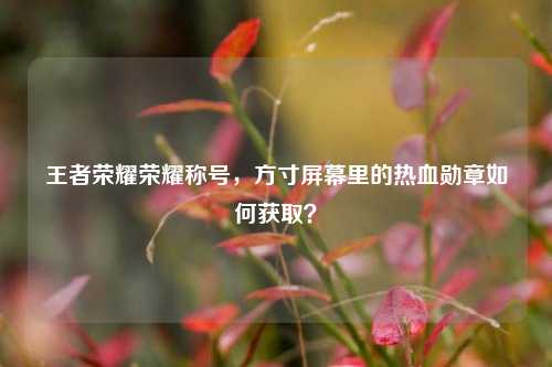 王者荣耀荣耀称号，方寸屏幕里的热血勋章如何获取？