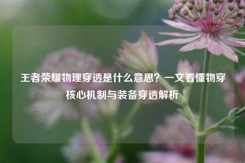 王者荣耀物理穿透是什么意思？一文看懂物穿核心机制与装备穿透解析