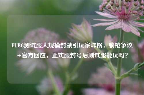 PUBG测试服大规模封禁引玩家炸锅，躺枪争议+官方回应，正式服封号后测试服能玩吗？