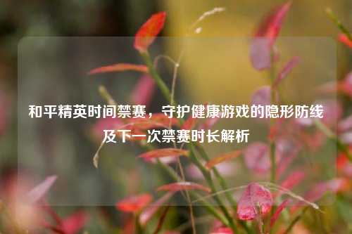 和平精英时间禁赛,守护健康游戏的隐形防线及下一次禁赛时长解析