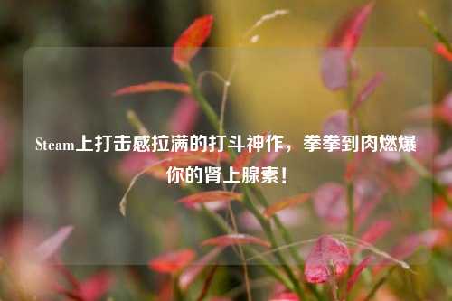 Steam上打击感拉满的打斗神作，拳拳到肉燃爆你的肾上腺素！