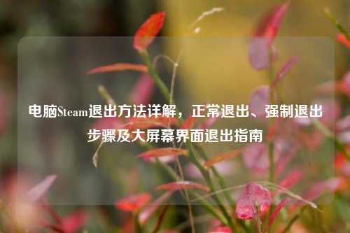 电脑Steam退出方法详解，正常退出、强制退出步骤及大屏幕界面退出指南