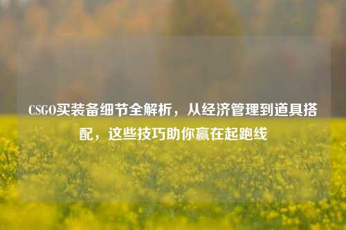 CSGO买装备细节全解析，从经济管理到道具搭配，这些技巧助你赢在起跑线