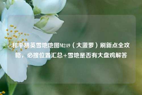 和平精英雪地地图M249（大菠萝）刷新点全攻略，必搜位置汇总+雪地是否有大盘鸡解答