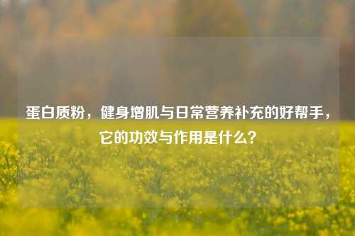 蛋白质粉，健身增肌与日常营养补充的好帮手，它的功效与作用是什么？