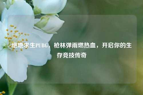 绝地求生PUBG，枪林弹雨燃热血，开启你的生存竞技传奇