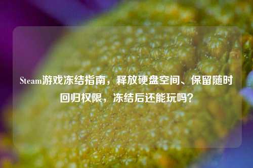 Steam游戏冻结指南,释放硬盘空间、保留随时回归权限,冻结后还能玩吗?