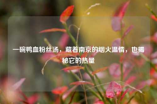 一碗鸭血粉丝汤，藏着南京的烟火温情，也揭秘它的热量