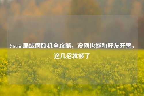 Steam局域网联机全攻略，没网也能和好友开黑，这几招就够了