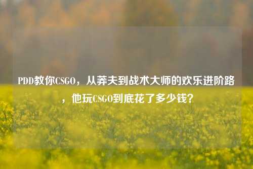 PDD教你CSGO，从莽夫到战术大师的欢乐进阶路，他玩CSGO到底花了多少钱？
