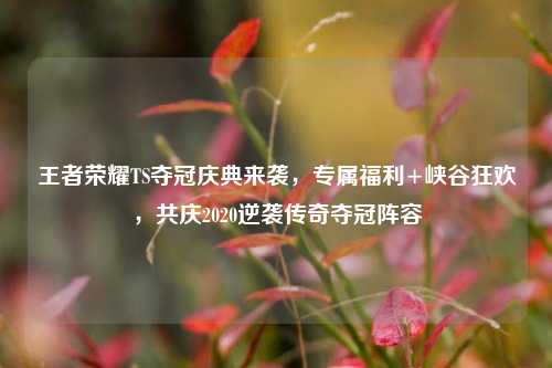 王者荣耀TS夺冠庆典来袭，专属福利+峡谷狂欢，共庆2020逆袭传奇夺冠阵容