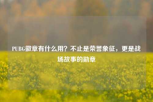 PUBG徽章有什么用？不止是荣誉象征，更是战场故事的勋章