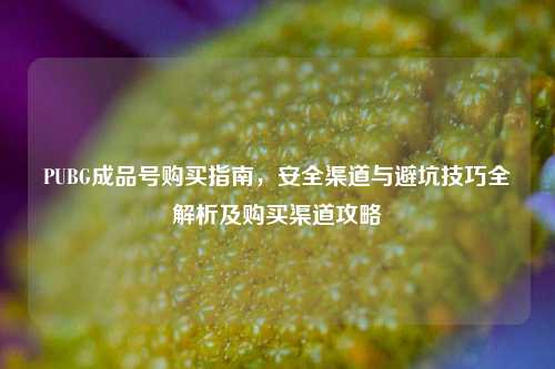 PUBG成品号购买指南，安全渠道与避坑技巧全解析及购买渠道攻略