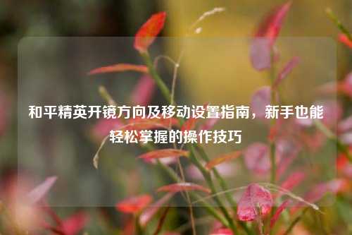 和平精英开镜方向及移动设置指南，新手也能轻松掌握的操作技巧