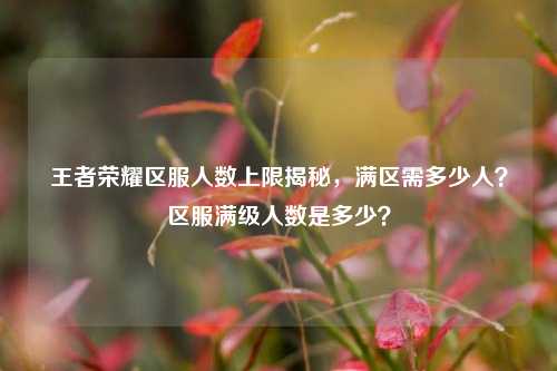 王者荣耀区服人数上限揭秘,满区需多少人?区服满级人数是多少?