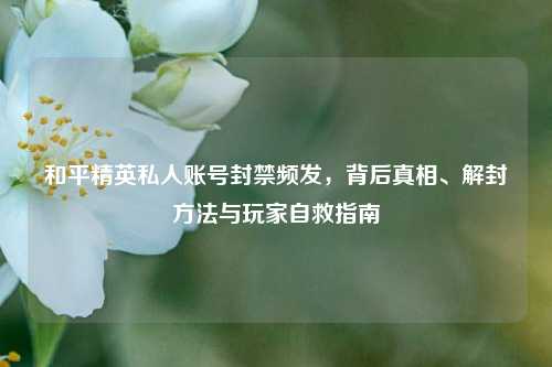 和平精英私人账号封禁频发，背后真相、解封方法与玩家自救指南