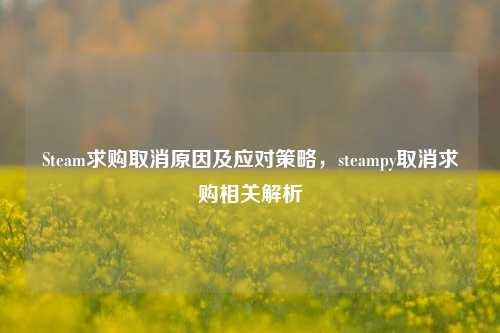 Steam求购取消原因及应对策略,steampy取消求购相关解析