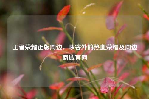 王者荣耀正版周边，峡谷外的热血荣耀及周边商城官网