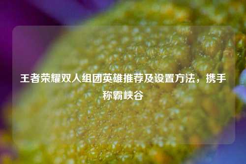 王者荣耀双人组团英雄推荐及设置方法，携手称霸峡谷