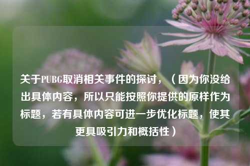 关于PUBG取消相关事件的探讨，（因为你没给出具体内容，所以只能按照你提供的原样作为标题，若有具体内容可进一步优化标题，使其更具吸引力和概括性）