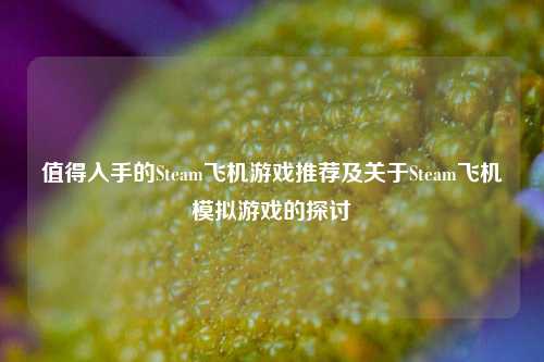值得入手的Steam飞机游戏推荐及关于Steam飞机模拟游戏的探讨