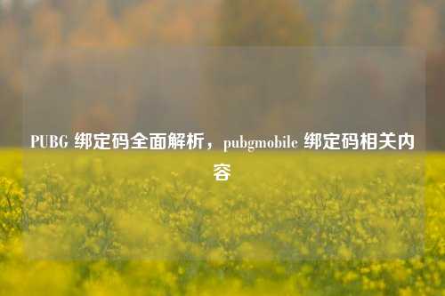 PUBG 绑定码全面解析，pubgmobile 绑定码相关内容
