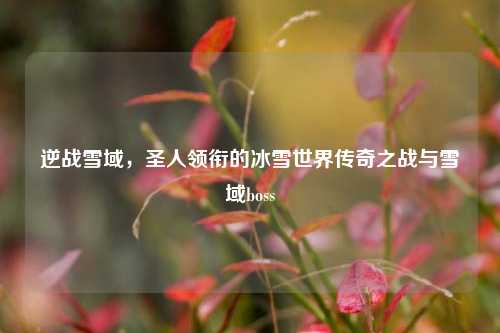 逆战雪域，圣人领衔的冰雪世界传奇之战与雪域boss