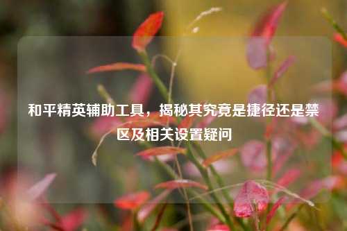 和平精英辅助工具，揭秘其究竟是捷径还是禁区及相关设置疑问