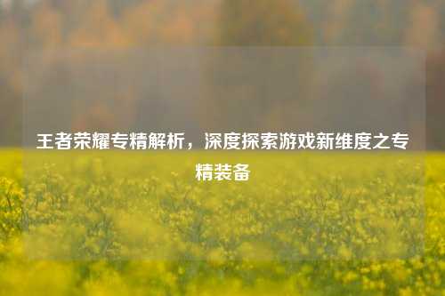 王者荣耀专精解析，深度探索游戏新维度之专精装备