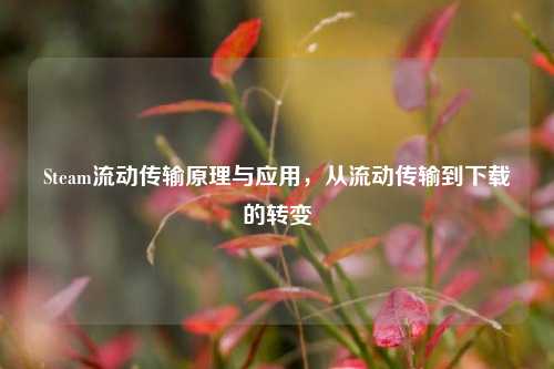 Steam流动传输原理与应用,从流动传输到下载的转变