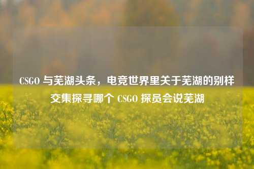 CSGO 与芜湖头条,电竞世界里关于芜湖的别样交集探寻哪个 CSGO 探员会说芜湖