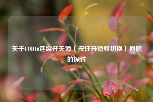 关于COD16连续开关镜（按住开镜和切换）问题的探讨
