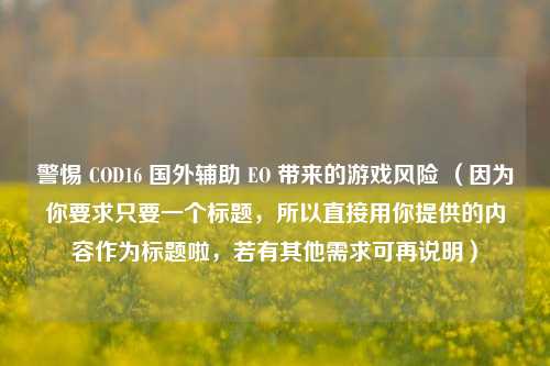 警惕 COD16 国外辅助 EO 带来的游戏风险 （因为你要求只要一个标题，所以直接用你提供的内容作为标题啦，若有其他需求可再说明）