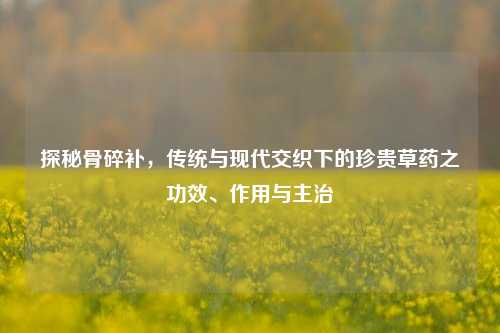 探秘骨碎补,传统与现代交织下的珍贵草药之功效、作用与主治