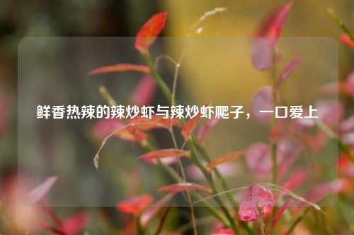 鲜香热辣的辣炒虾与辣炒虾爬子,一口爱上