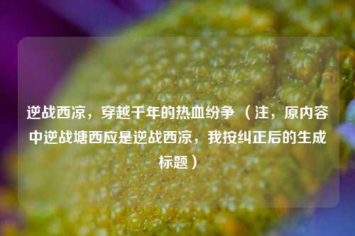 逆战西凉,穿越千年的热血纷争 (注,原内容中逆战塘西应是逆战西凉,我按纠正后的生成标题)