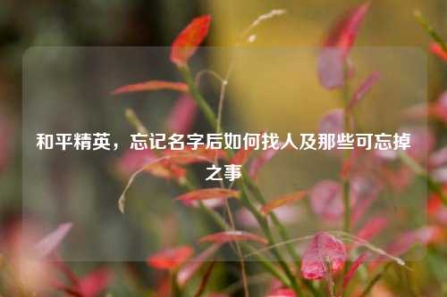 和平精英，忘记名字后如何找人及那些可忘掉之事