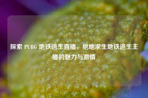 探索 PUBG 地铁逃生直播，绝地求生地铁逃生主播的魅力与激情
