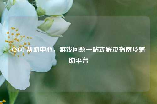 CSGO 帮助中心，游戏问题一站式解决指南及辅助平台