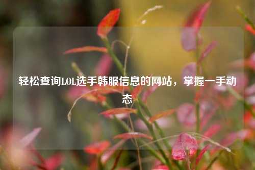 轻松查询LOL选手韩服信息的网站，掌握一手动态